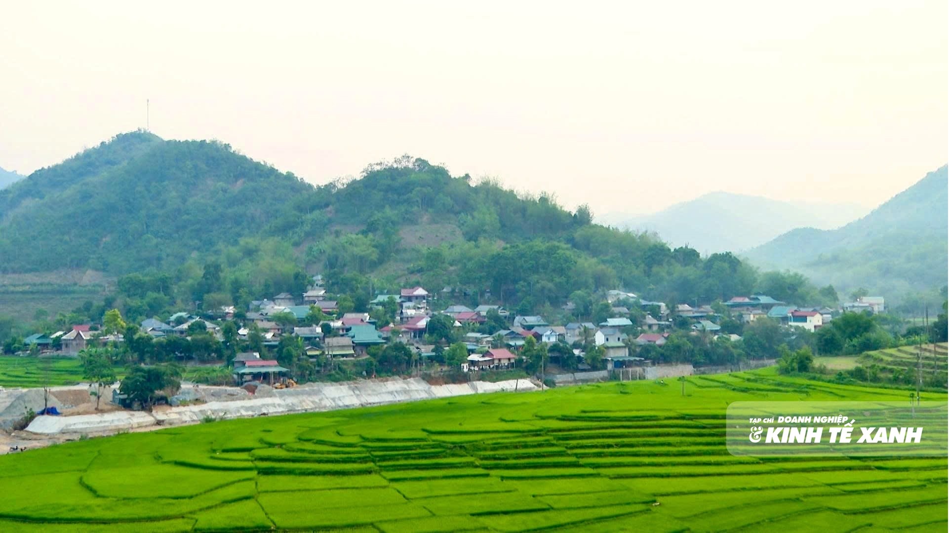 bien-cuong2-1786629504.jpg