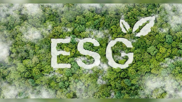 ESG trở thành một phần năng lực cạnh tranh của doanh nghiệp Việt. (Ảnh minh hoạ)