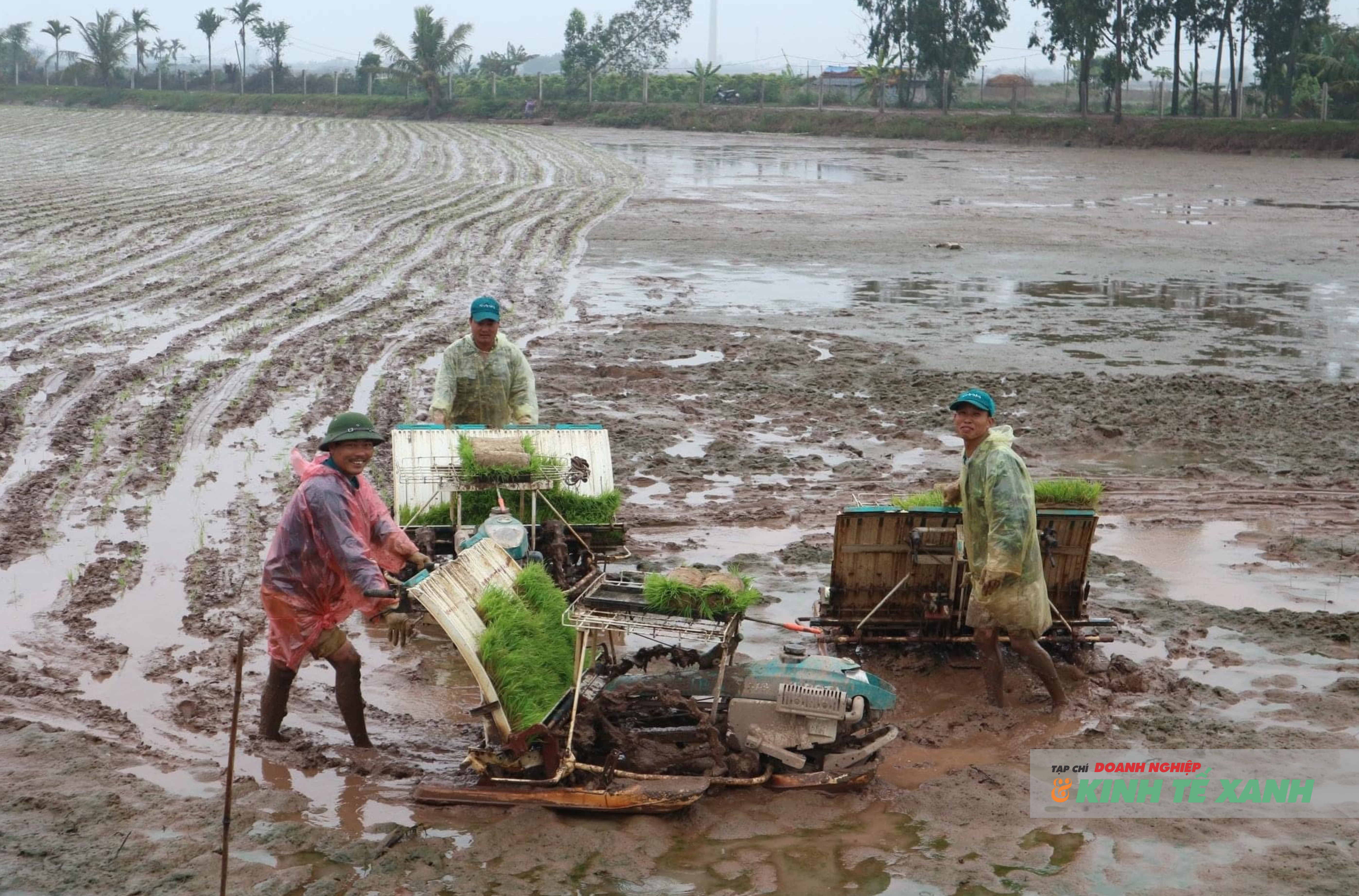 anh-dai-dien-bai-viet-6-1786759927.png