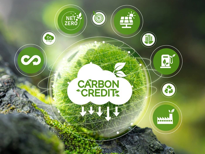 Thị trường carbon Việt Nam đang được hình thành trên cơ sở từng bước hoàn thiện hệ thống chính sách về giảm nhẹ phát thải khí nhà kính và phát triển thị trường carbon. (Ảnh minh hoạ)