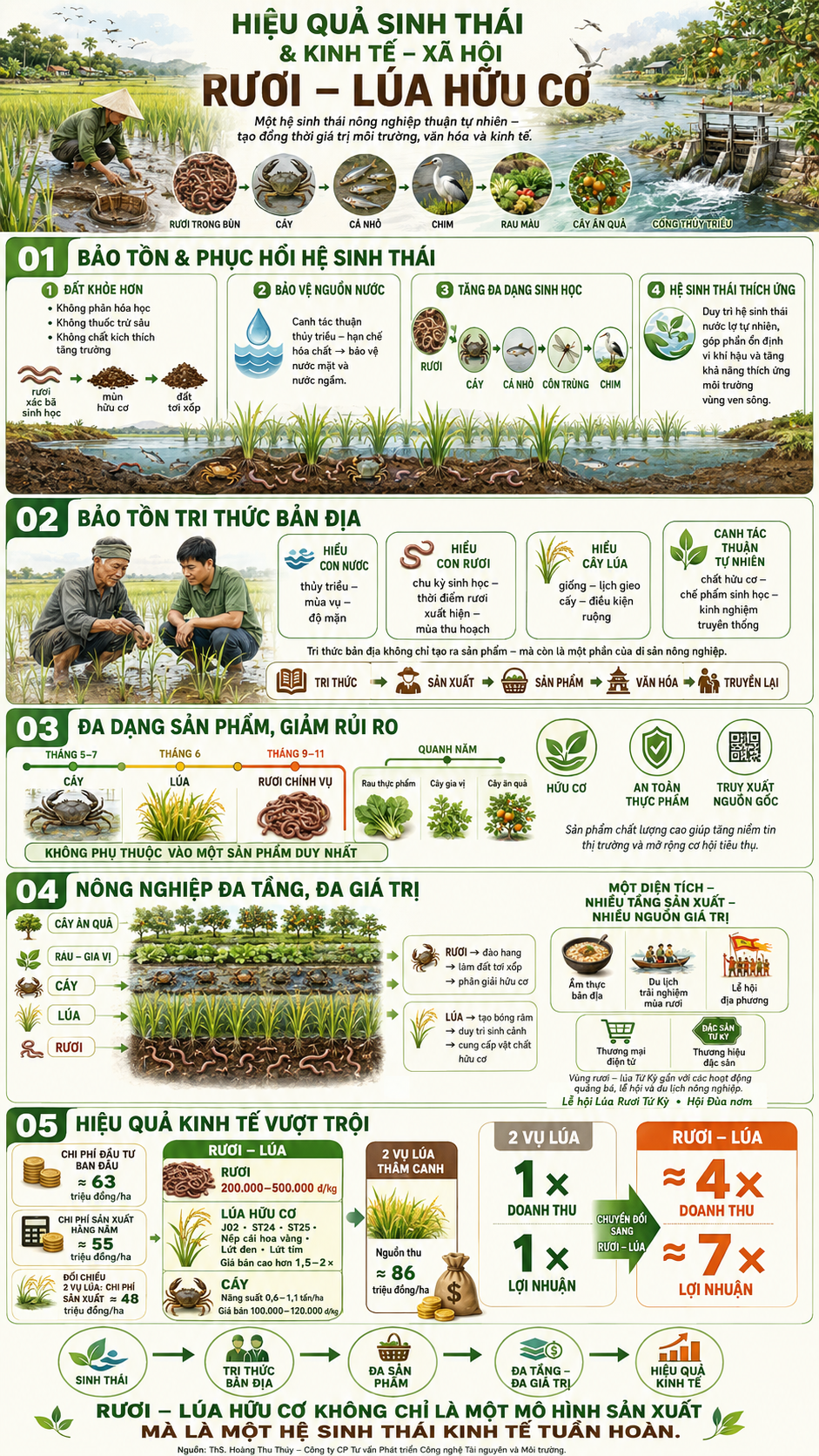 infographic-ruoi-lua-huu-co-1786934033.png