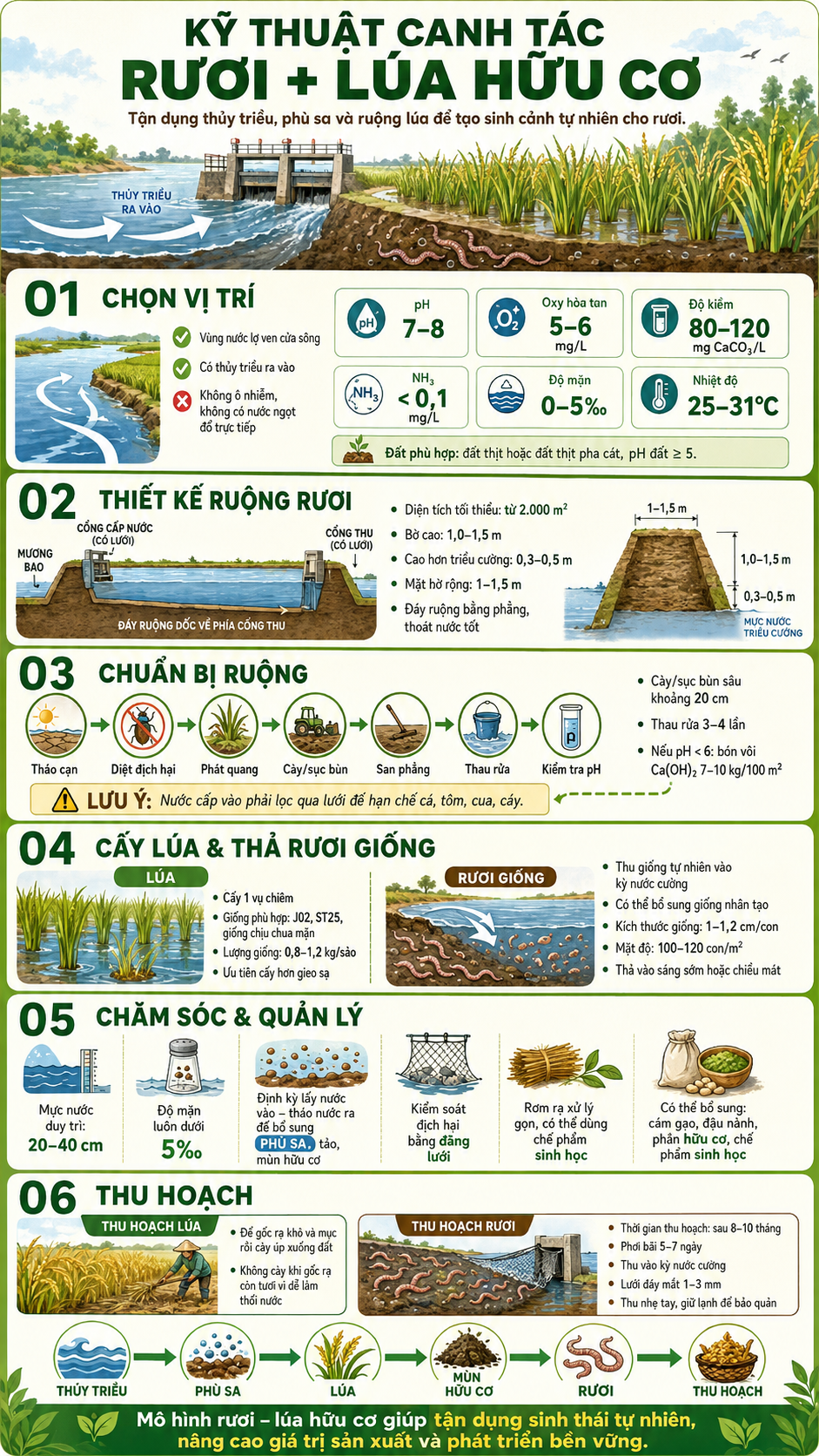infographic-ruong-ruoi-1786933725.png