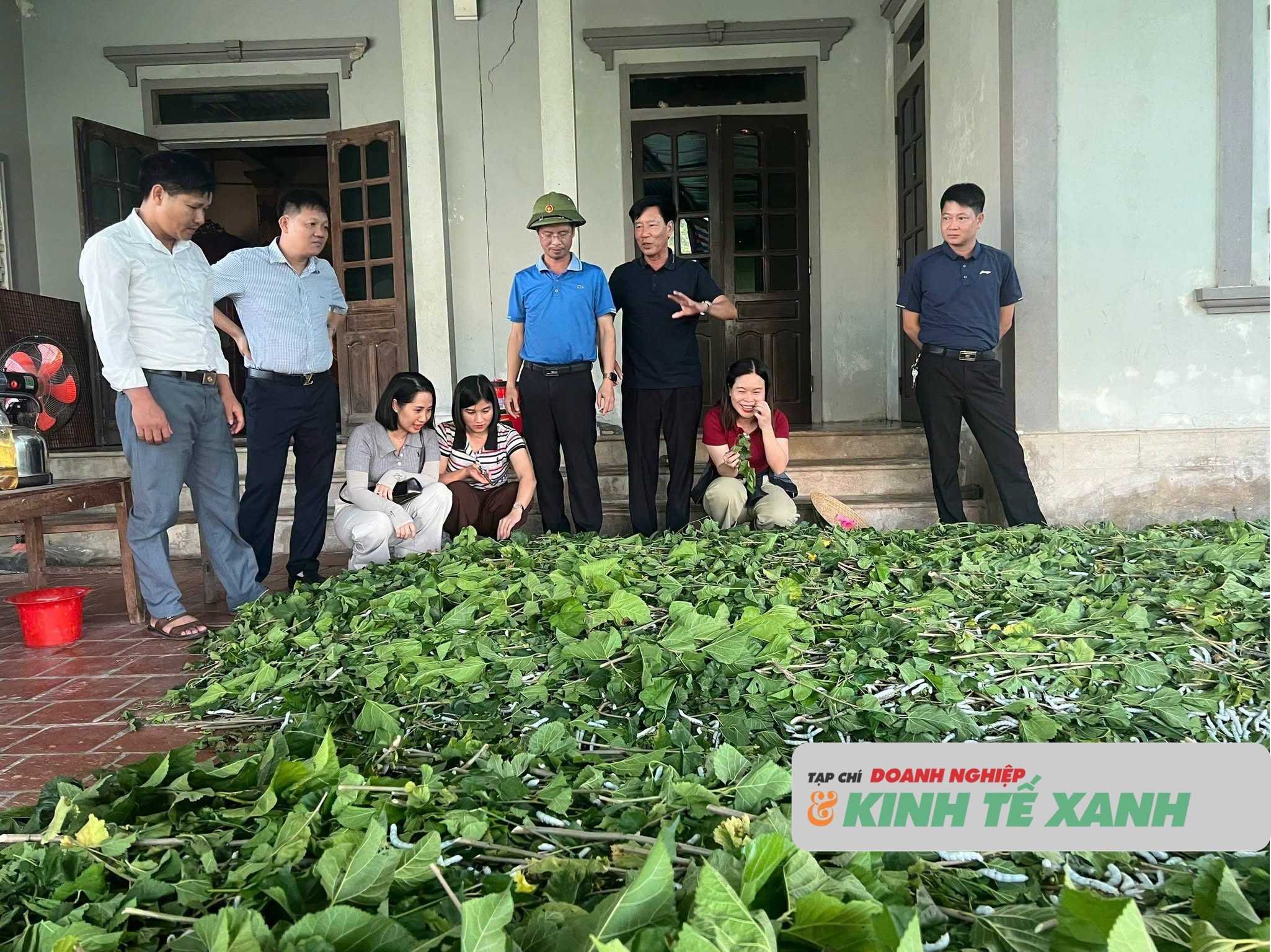 dau-tam-1787136153.jpg