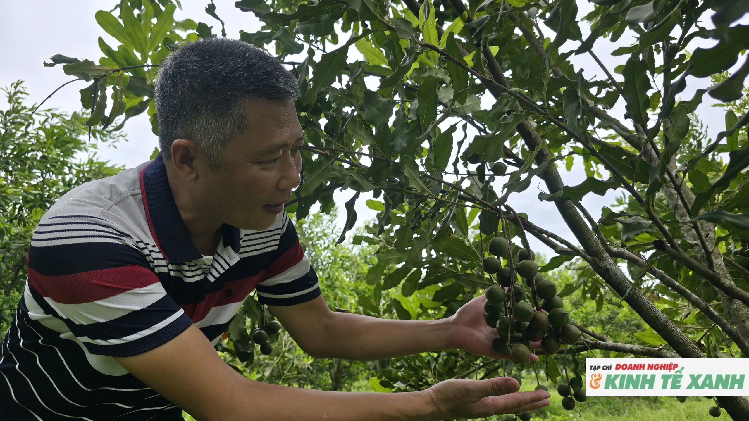 mac-ca-nghe-an1-1787111421.jpg