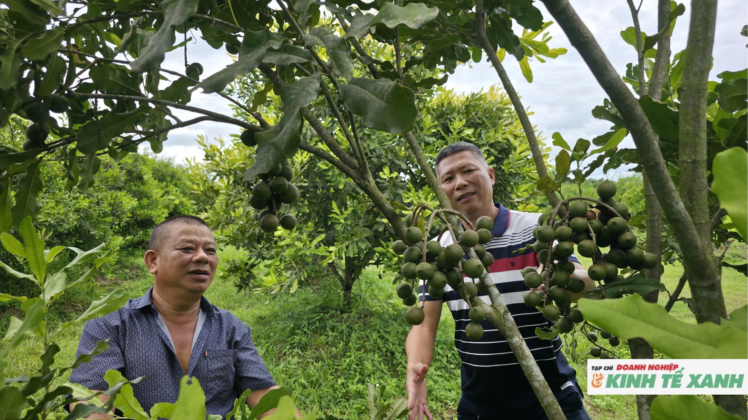 mac-ca-nghe-an3-1787111421.jpg