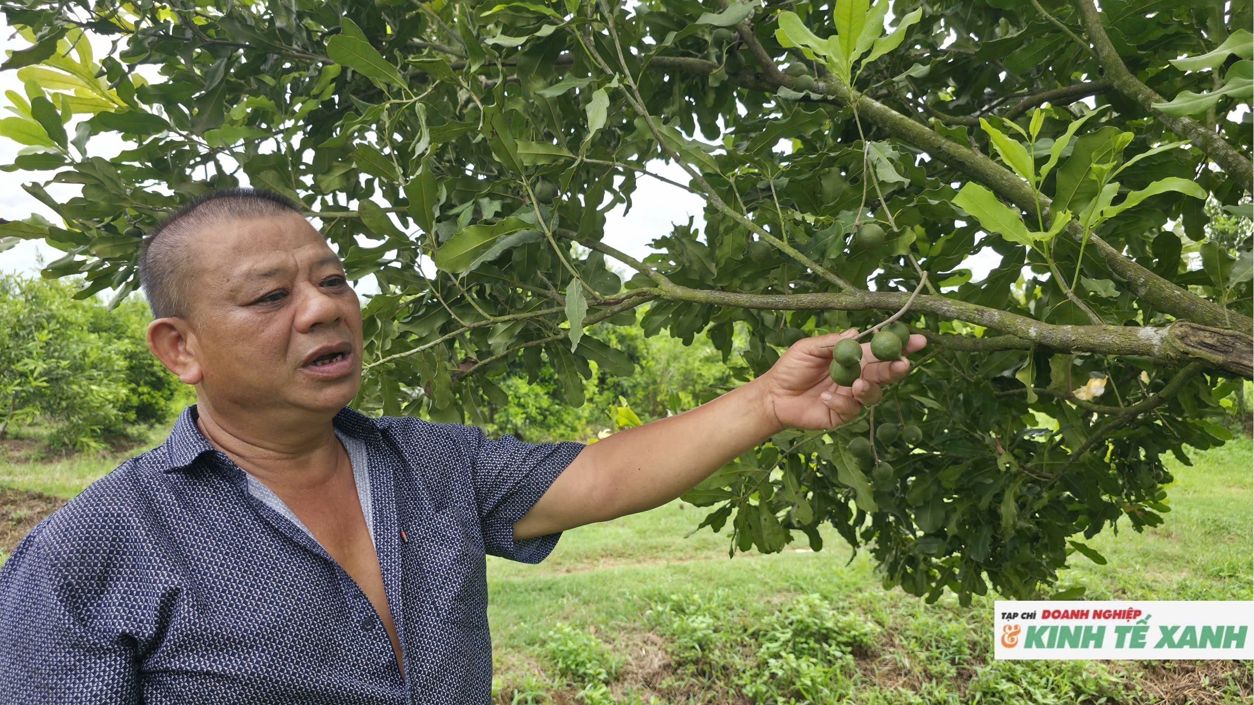 mac-ca-nghe-an4-1787111944.jpg