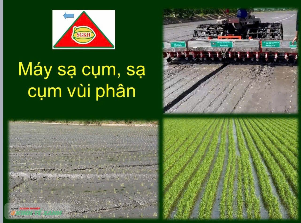 Gỡ điểm nghẽn vốn, liên kết chuỗi để nâng cao giá trị ngành hàng lúa gạo - Ảnh 6