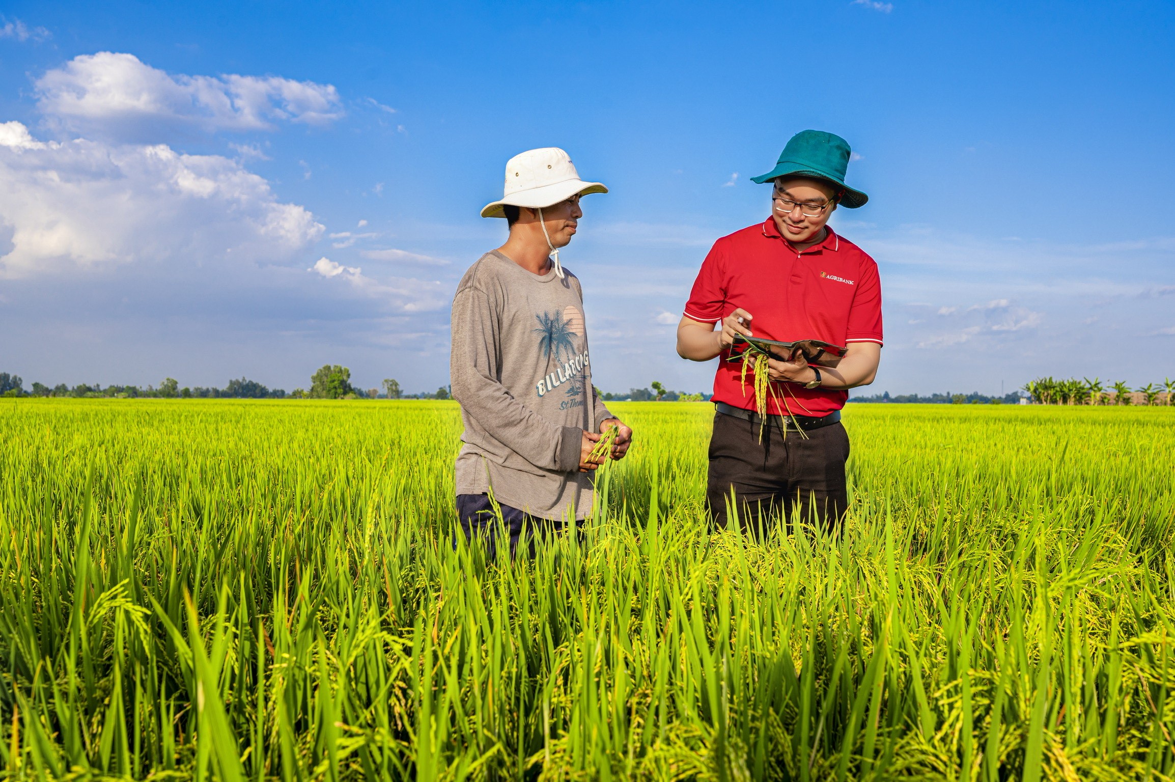 agribank-day-manh-tin-dung-cho-nong-nghiep-xanh-va-phat-trien-ben-vung-1787759683.jpg