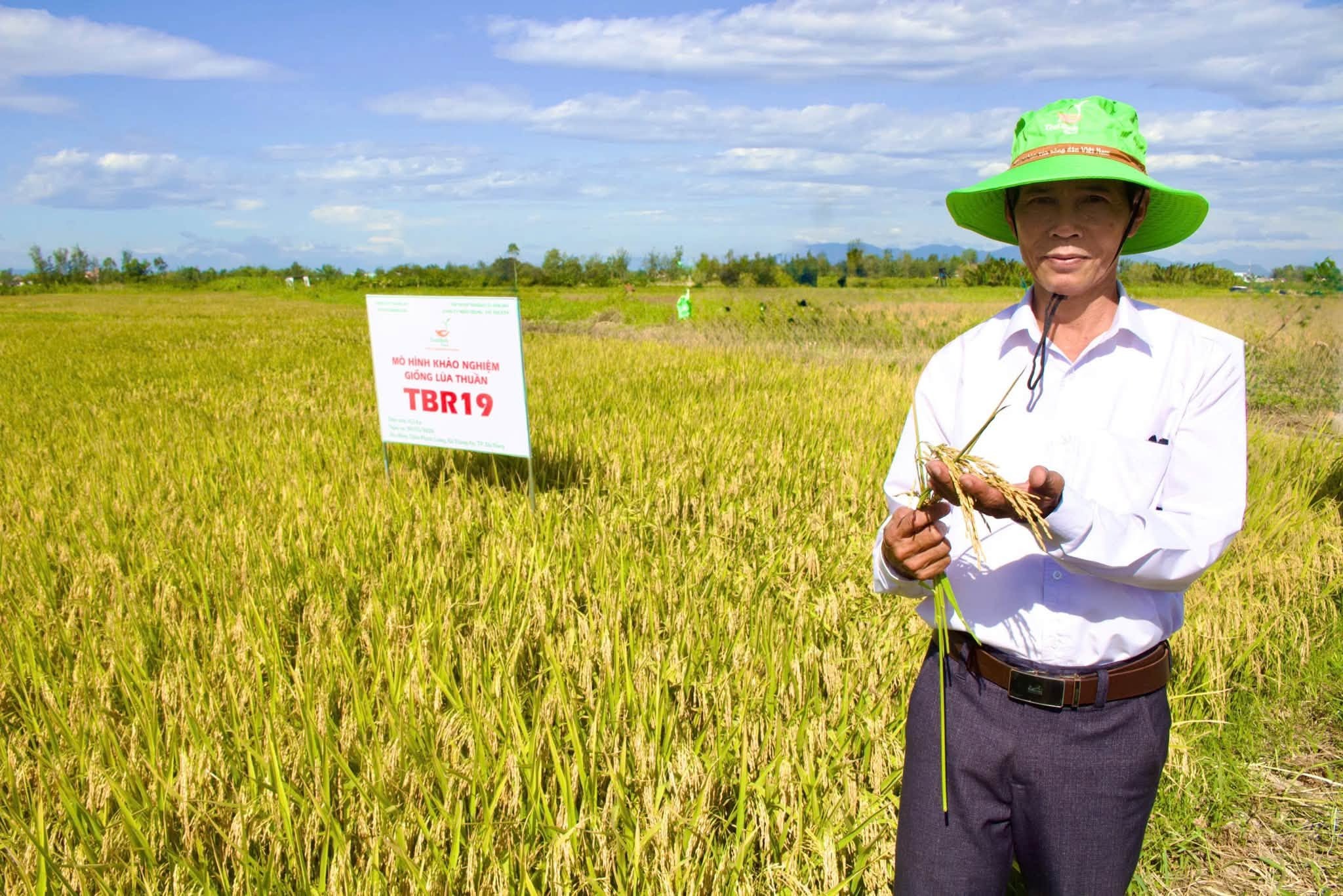 thaibinh-seed-2-1787735916.jpg