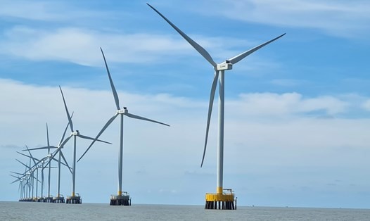 Đắk Lắk phê duyệt dự án điện gió 48 MW với vốn đầu tư hơn 1.400 tỷ đồng. (Ảnh minh hoạ)