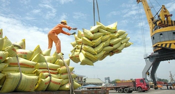 Xuất khẩu gạo đạt gần 3 tỷ USD trong 8 tháng đầu năm. (Ảnh minh hoạ)