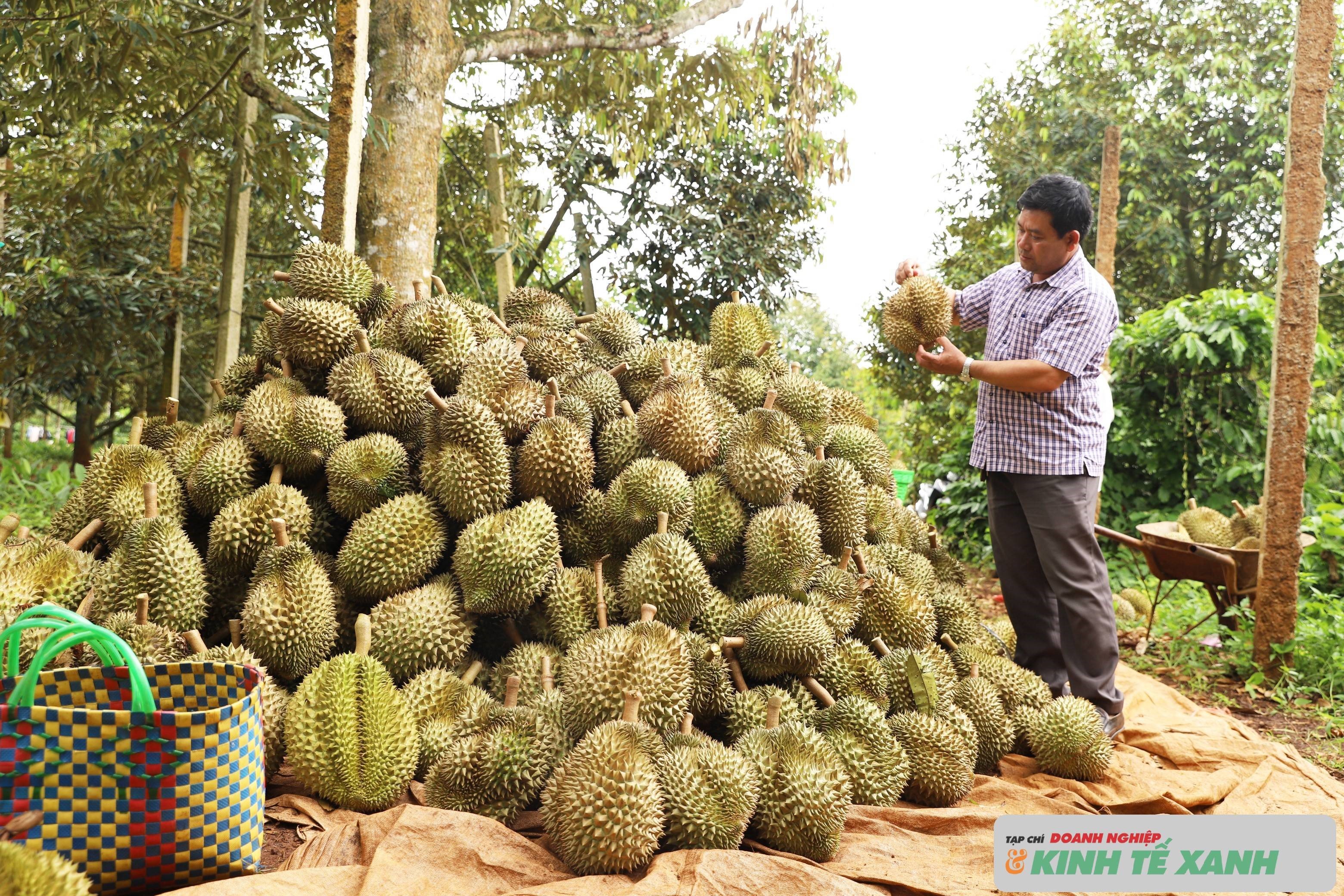sau-rieng12-1-1788254997.jpg