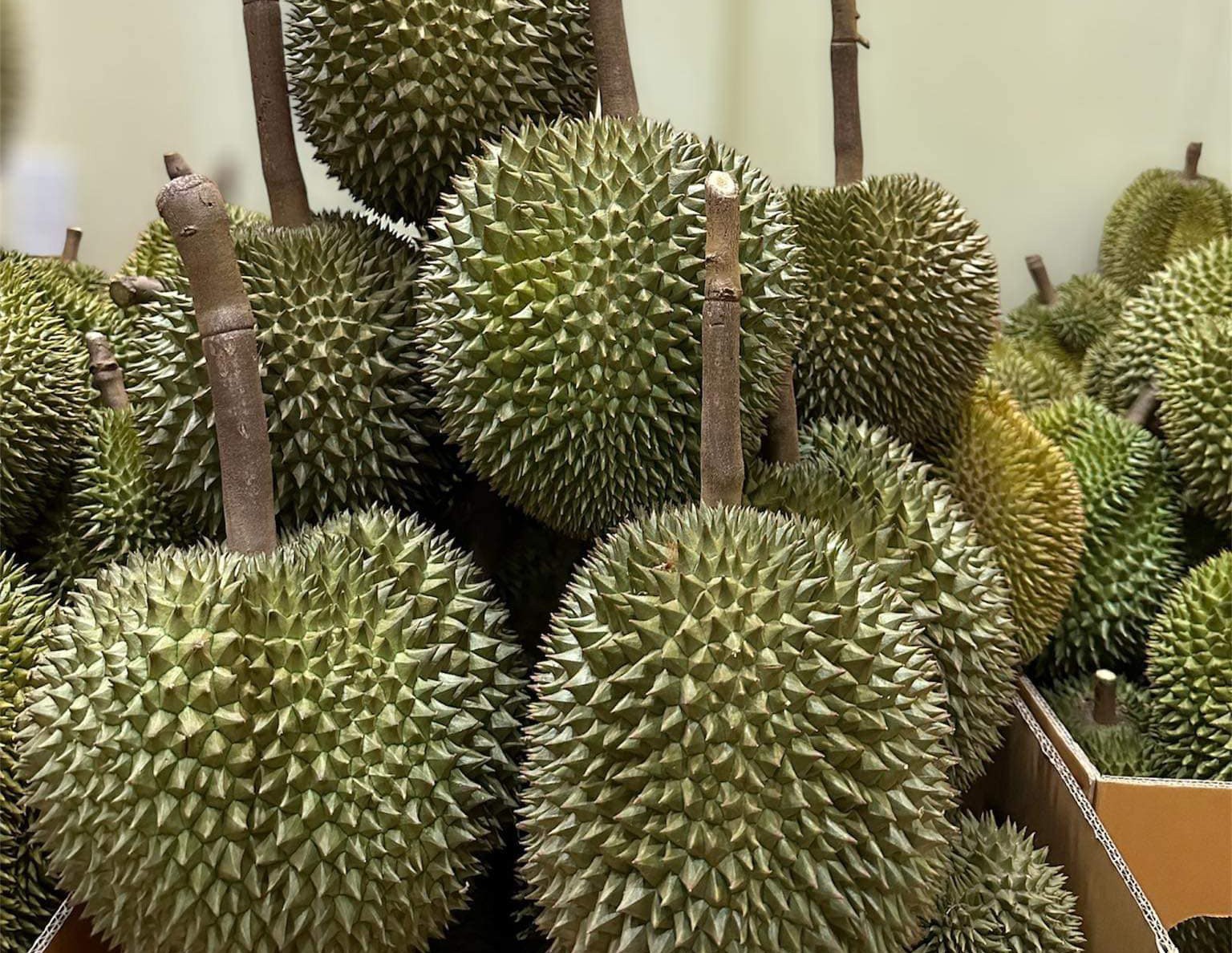 sau-rieng-1-906-1788400925.jpg