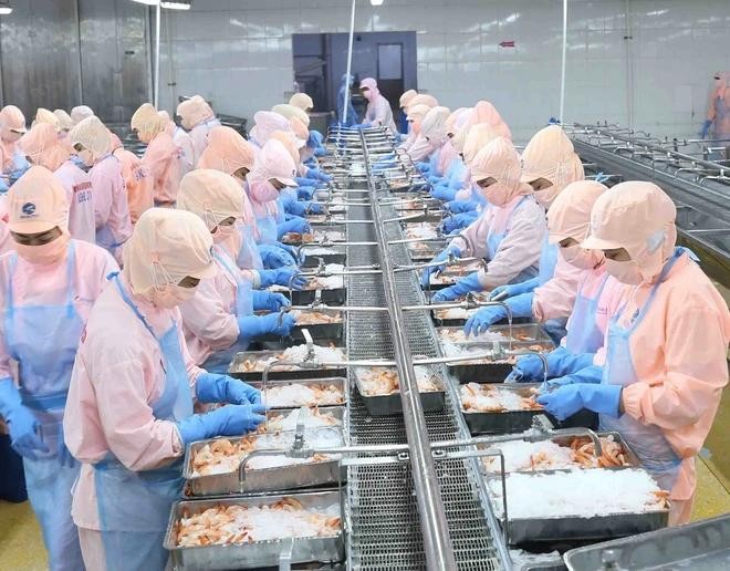 Xuất khẩu thủy sản đạt 8 tỷ USD trong 8 tháng đầu năm 2026. (Ảnh minh hoạ)