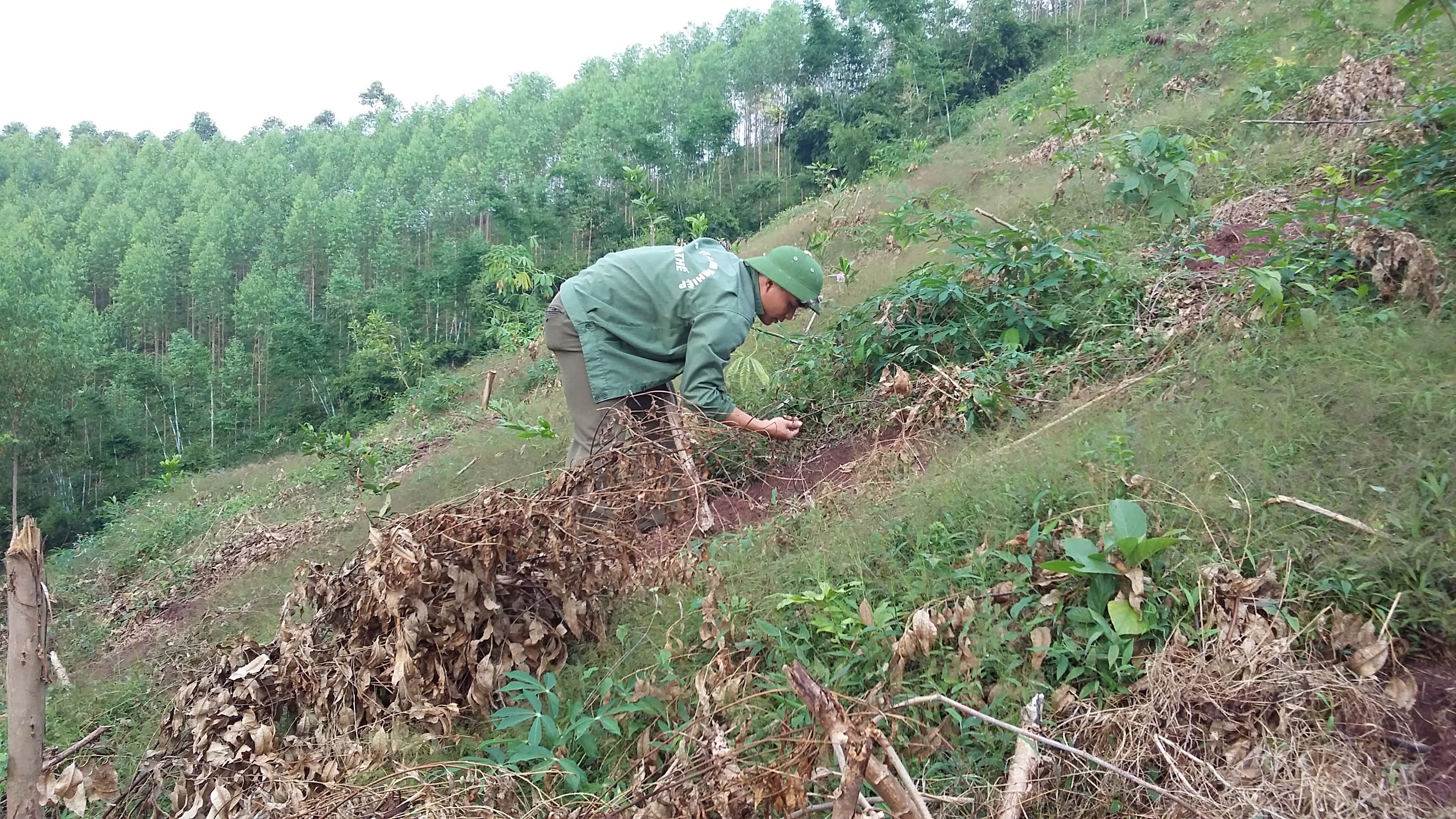 xuan-luong-5-1788853578.jpg
