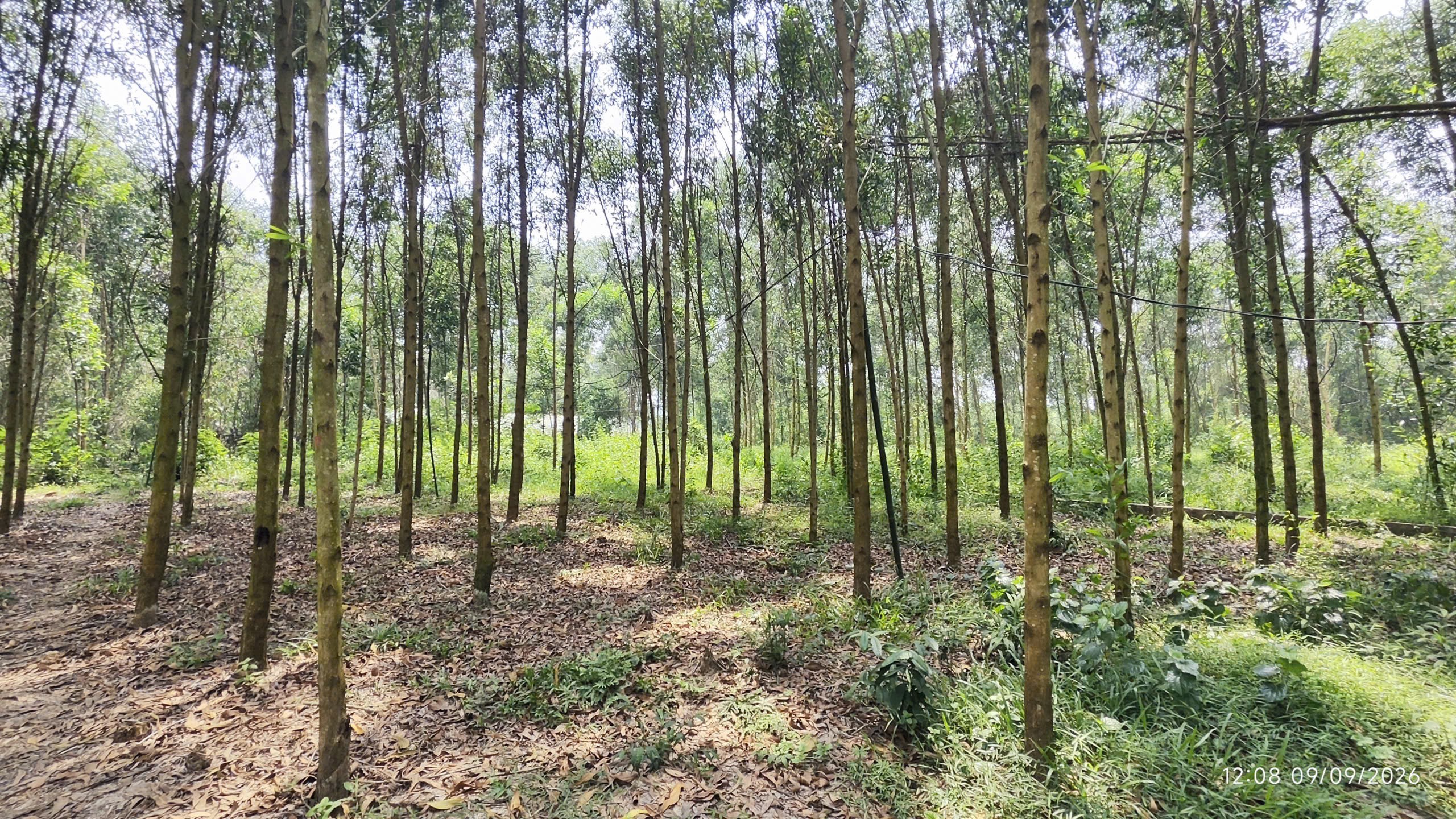 tam-tien-1-1789003090.jpg