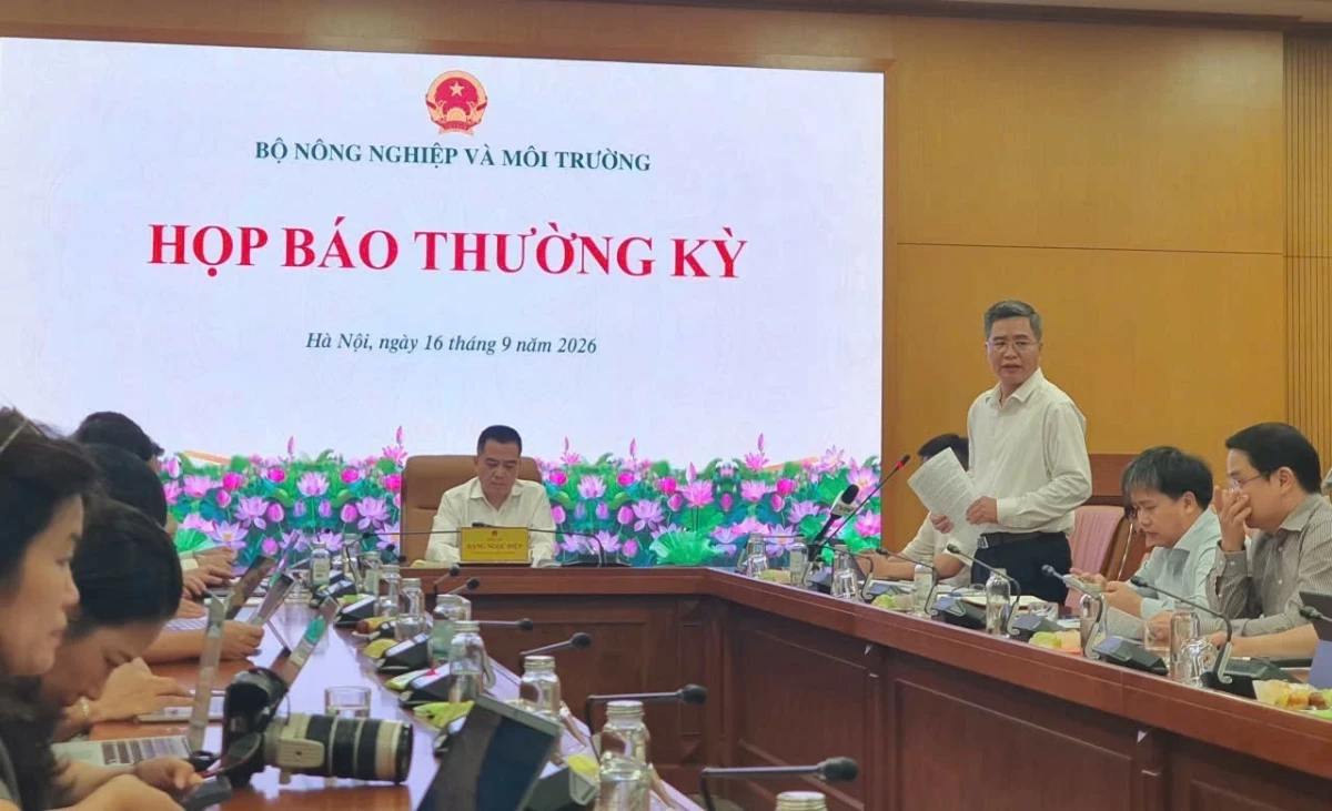 hop-bao-1789612295.webp