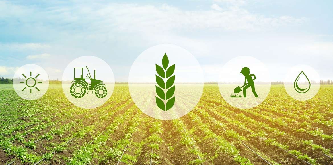Tăng mạnh mức hỗ trợ phí bảo hiểm nông nghiệp tới 95%. (Ảnh minh hoạ)