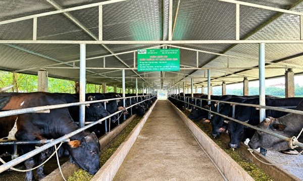 kn-bac-ninh-1-1790206738.jpg