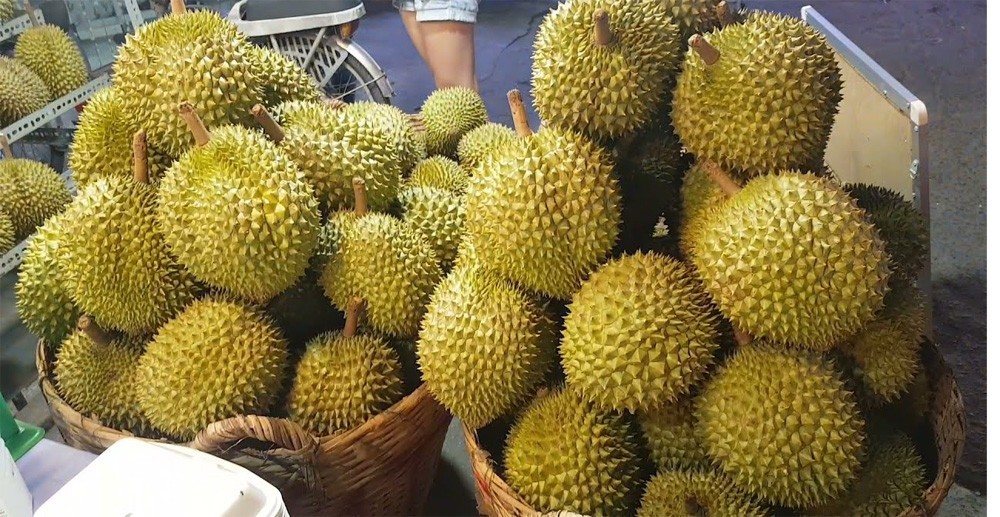 sau-rieng-1790213100.jpg