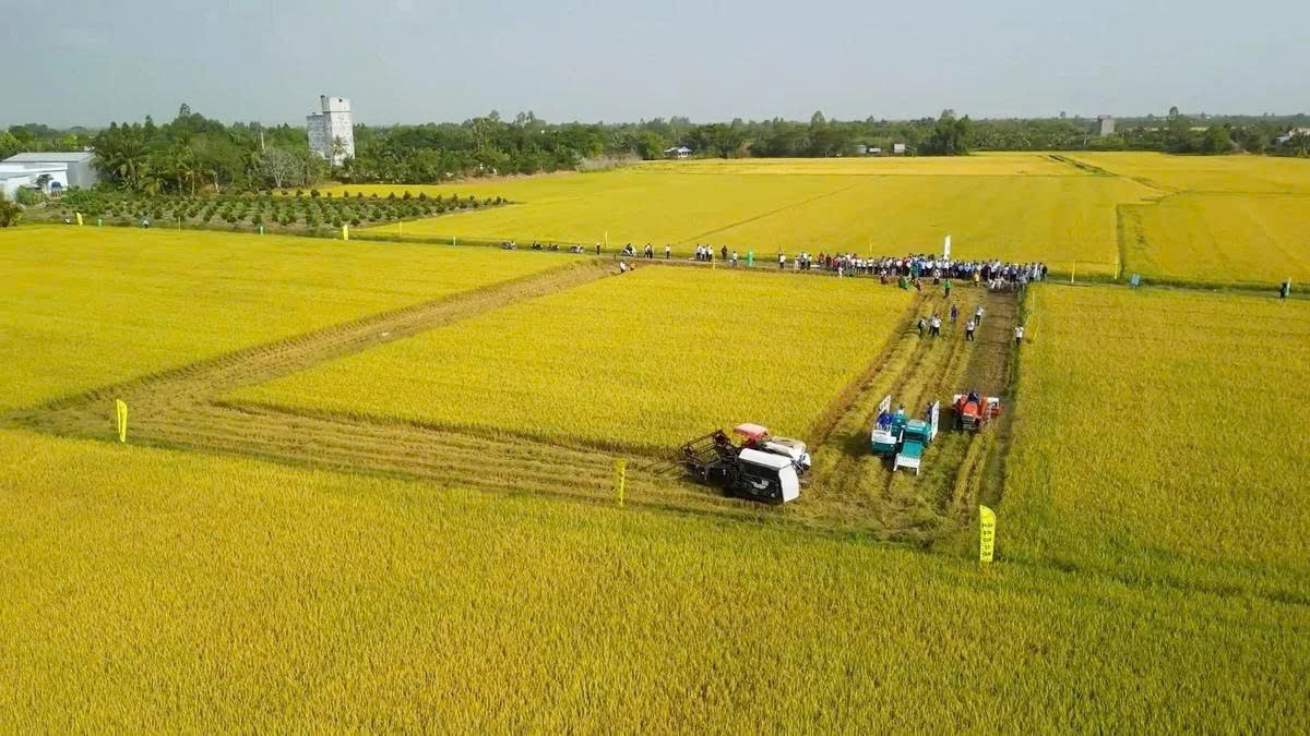 Tây Ninh đưa khoa học công nghệ vào chuỗi giá trị nông sản. 