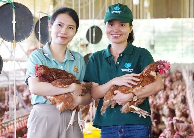 phuc-loi-dong-vat-090157-432-1790306789.jpeg