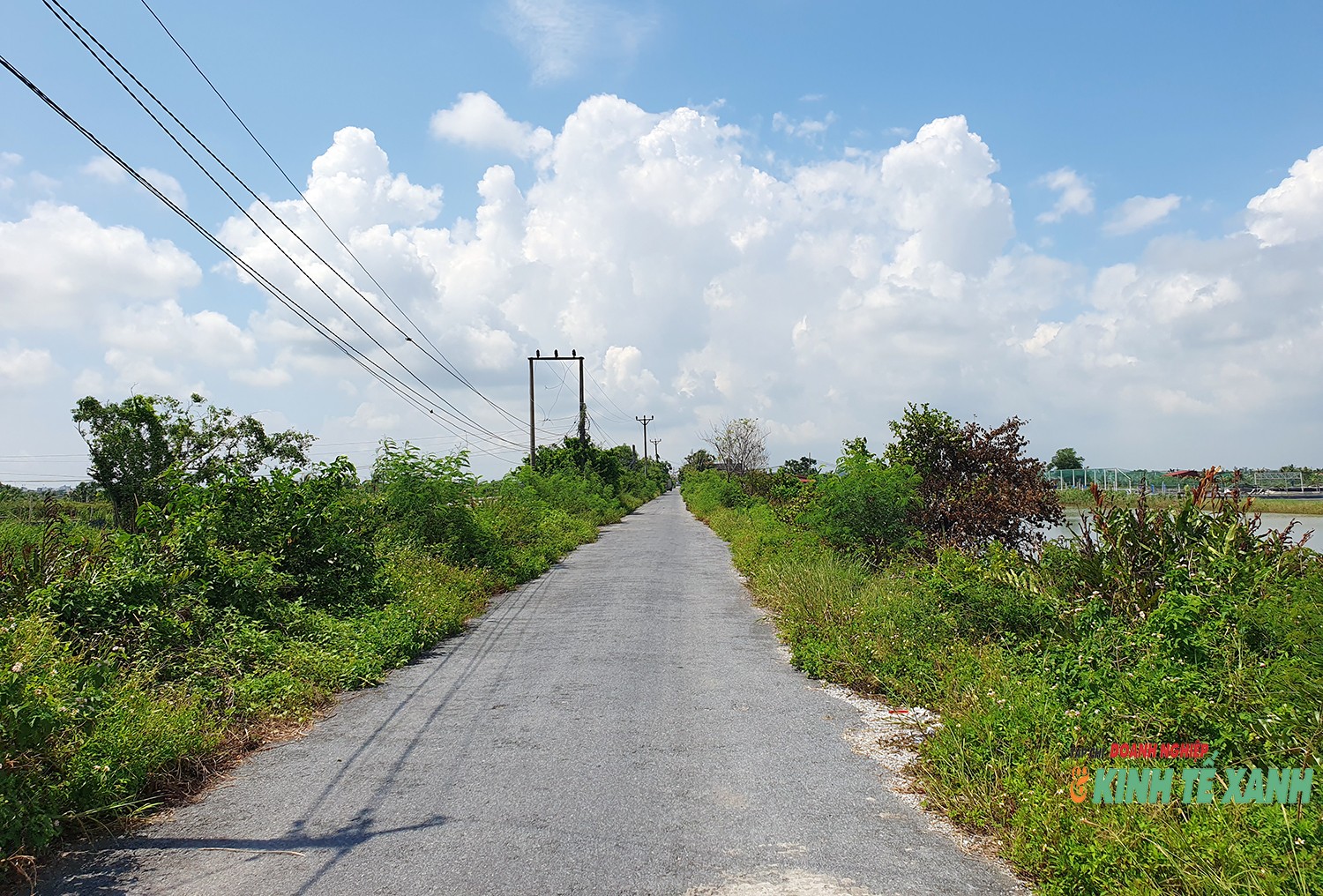 ntts-tan-thanh3-1790505175.jpg