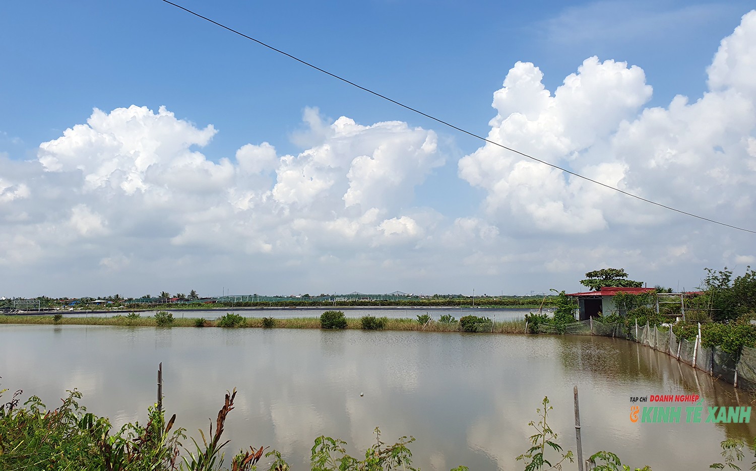 ntts-tan-thanh4-1790503898.jpg