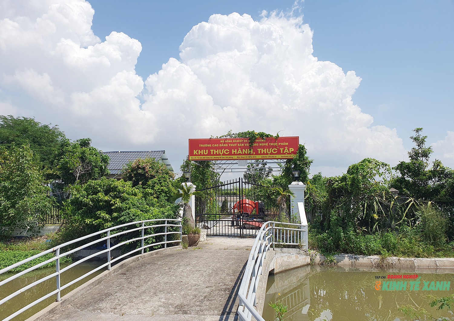 ntts-tan-thanh6-1790504001.jpg
