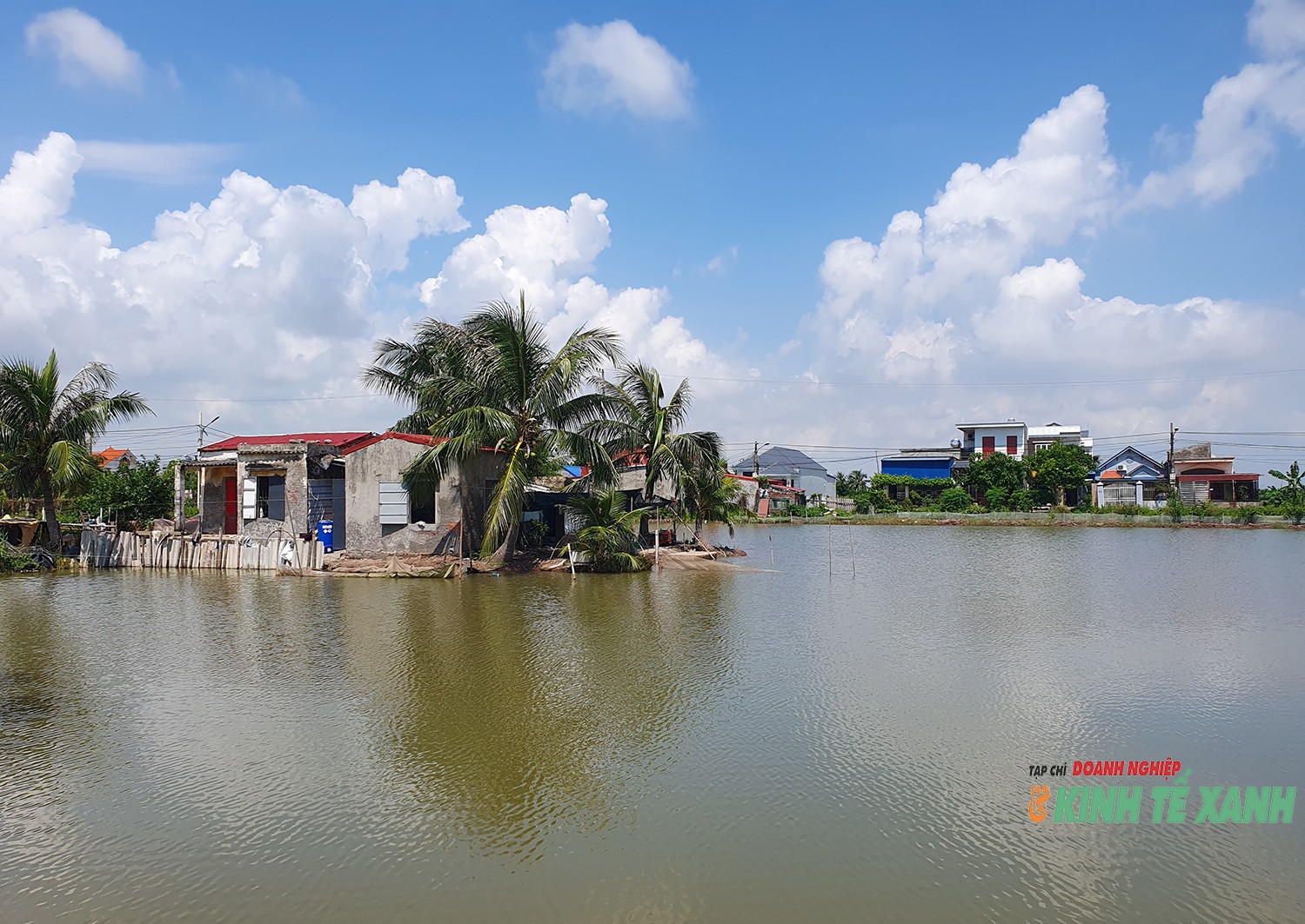 ntts-tan-thanh7-1790504997.jpg