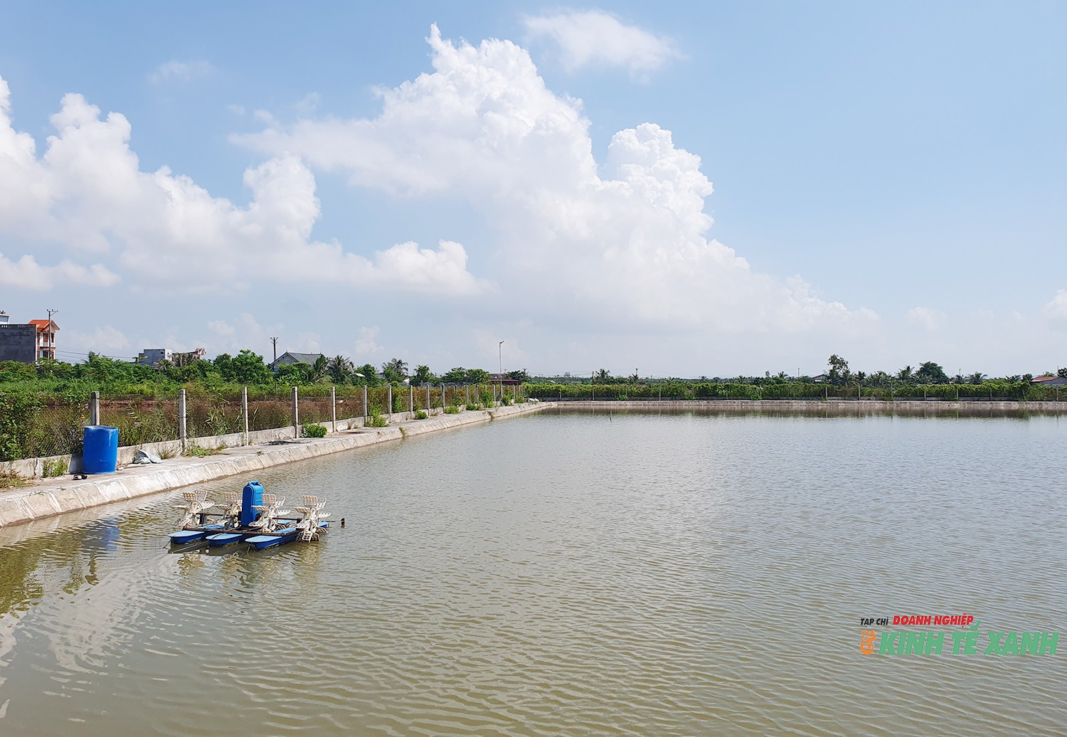 ntts-tan-thanh8-1790505086.jpg