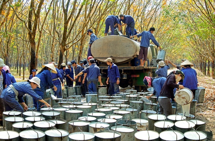 6 tháng đầu năm 2026, lợi nhuận ngành hóa chất tăng tốc; trong đó, cao su là một trong những phân khúc ghi nhận mức tăng đáng kể. (Ảnh minh hoạ)