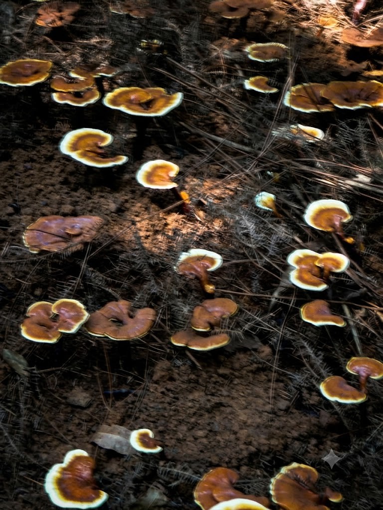 d5804f9b-4582-4457-8166-881e2b203bf5-1790649529.jpg