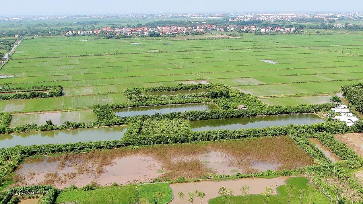 Thủ tướng yêu cầu đẩy nhanh đồng bộ dữ liệu đất đai, tích hợp trên VNeID, hoàn thành trước ngày 30/10/2026.. (Ảnh minh hoạ)