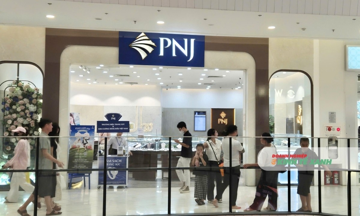 pnj-muon-chao-ban-550-trieu-co-phieu-60-von-danh-cho-chinh-sach-thu-doi-anh-tram-anh-1790765977.jpg