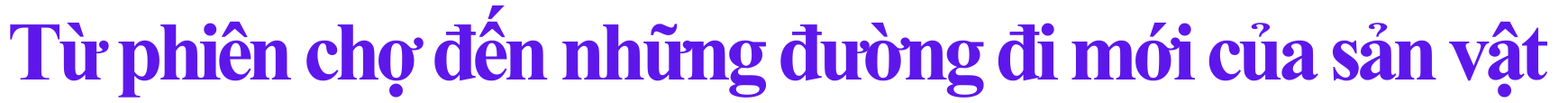 noi-dung-doan-van-ban-cua-ban-1-1790923075.png