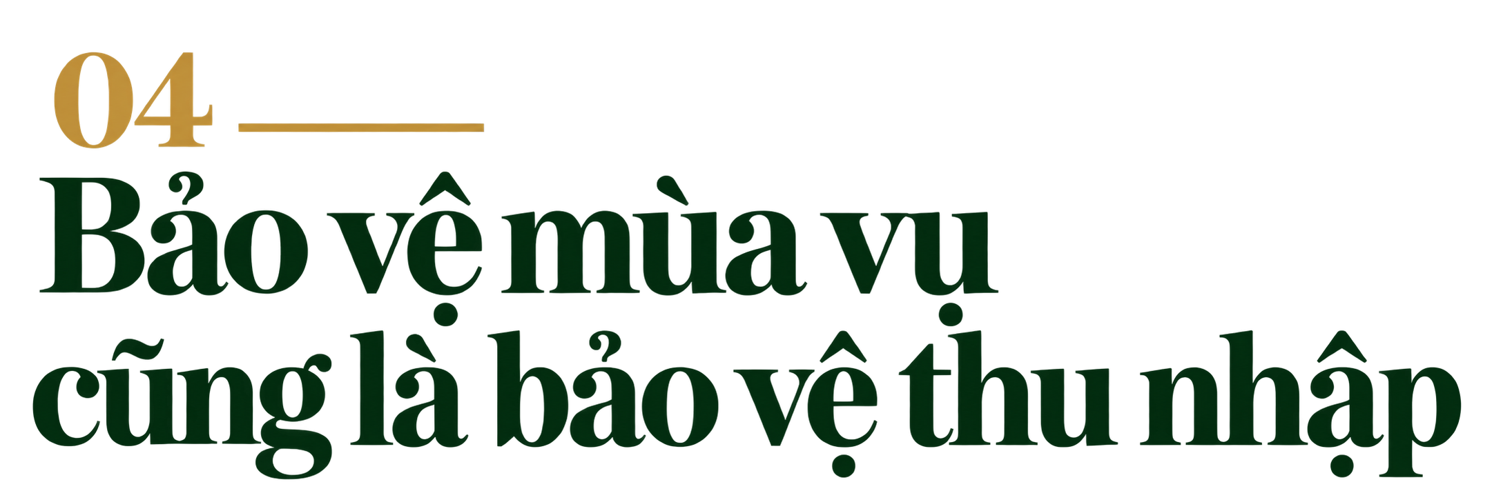 bao-ve-mua-vu-va-thu-nhap-1791170124.png