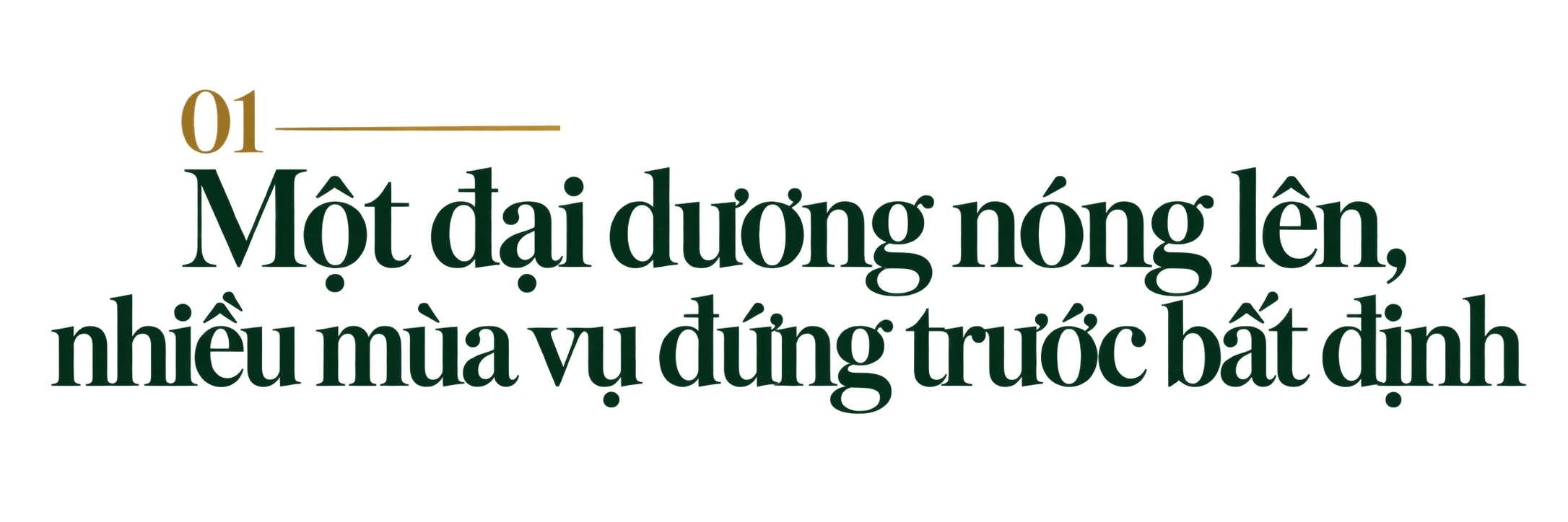 tit-1-1791169858.png