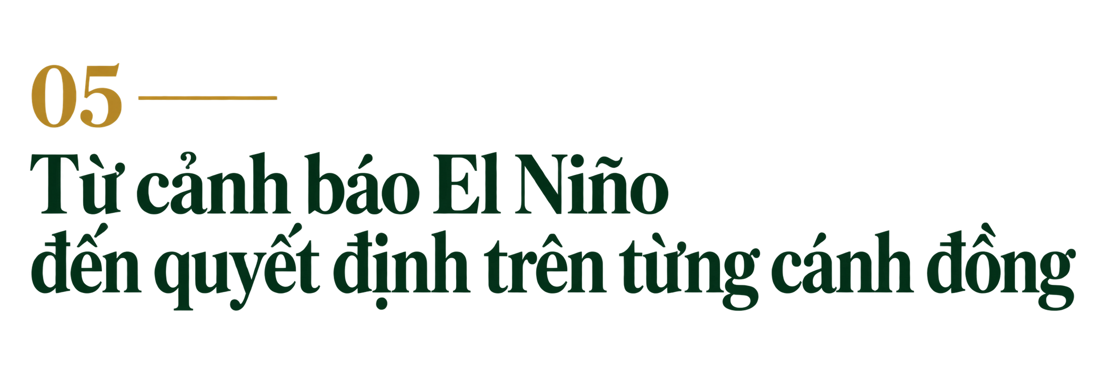 tu-canh-bao-den-tung-canh-dong-1791170800.png