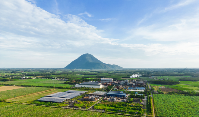 Các mảng dịch vụ nông nghiệp, cây ăn quả, thực phẩm và đồ uống AgriS đạt hơn 1.000 tỷ đồng, tương đương 3,7% tổng doanh thu. (Ảnh minh hoạ)