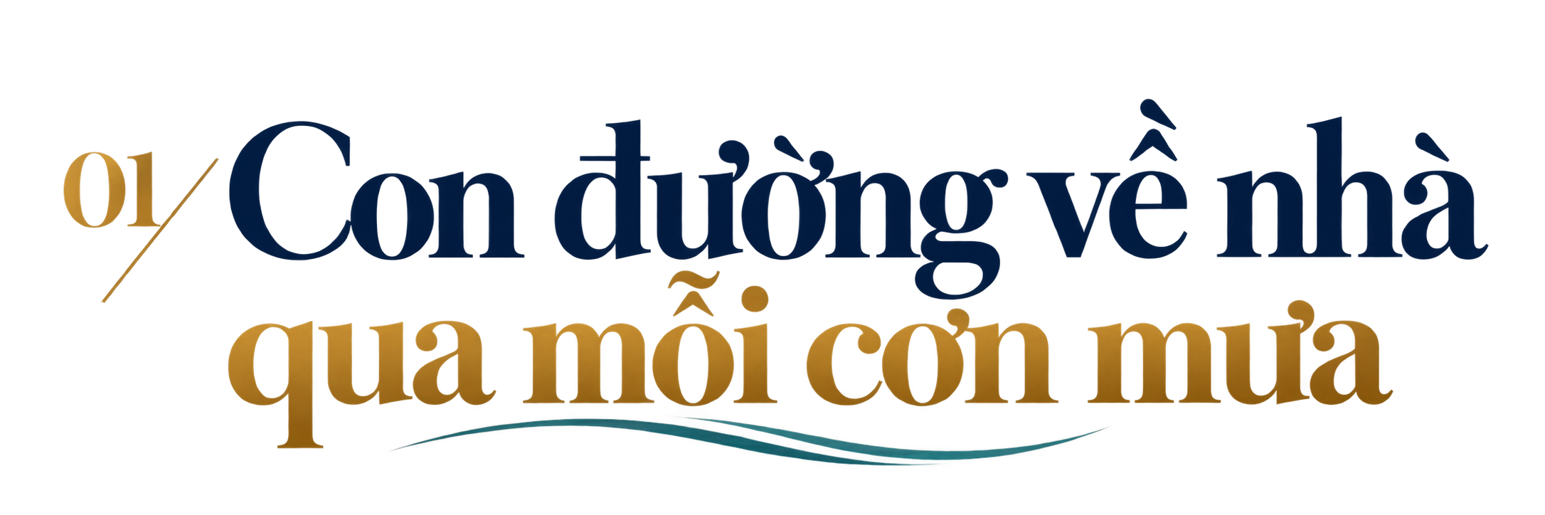 con-duong-ve-nha-qua-mua-1791259728.png