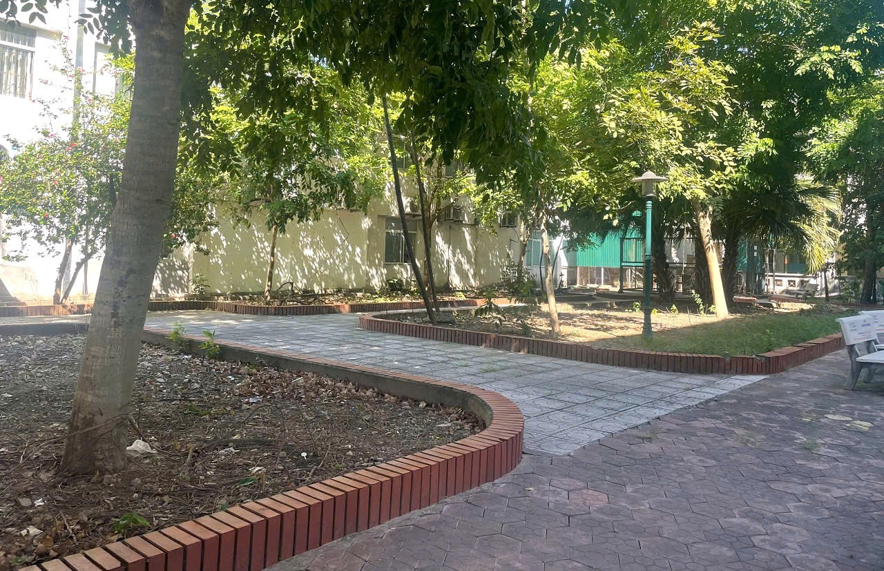 que-vo-1-1791284179.jpg