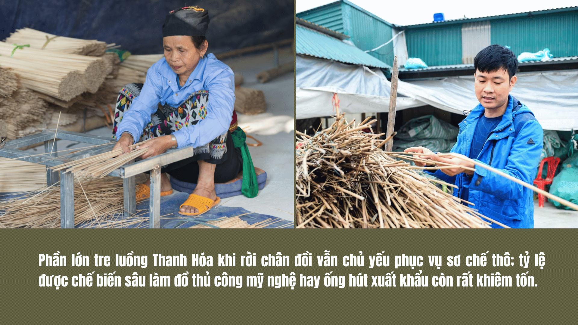 tinh-lai-gia-tri-cua-rung-1791301882.png