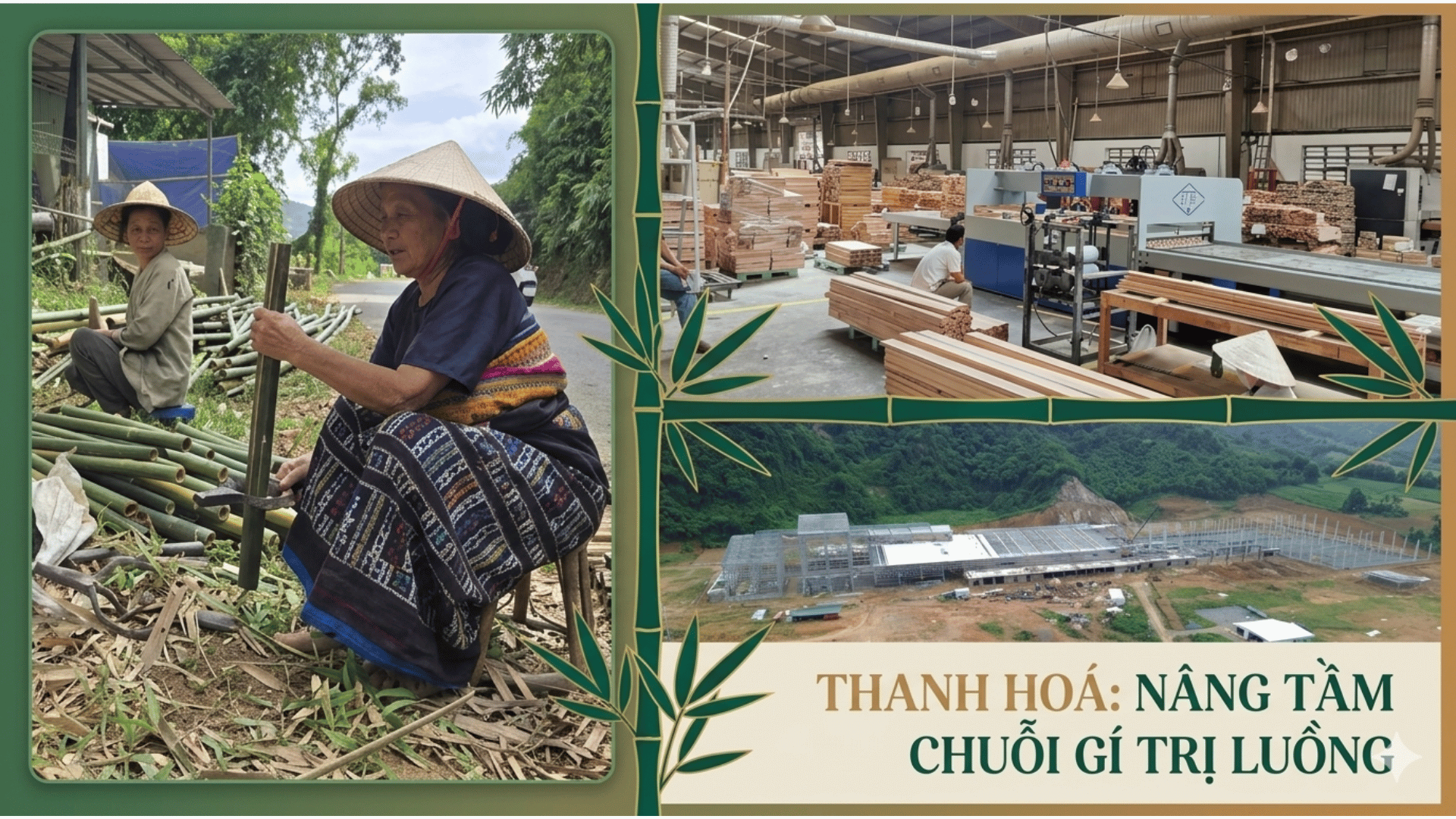 tinh-lai-gia-tri-cua-rung-2-1791301220.png