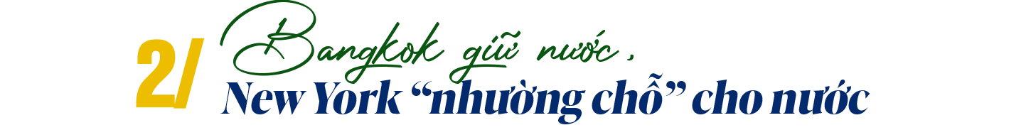 tit-2-1791436519.png
