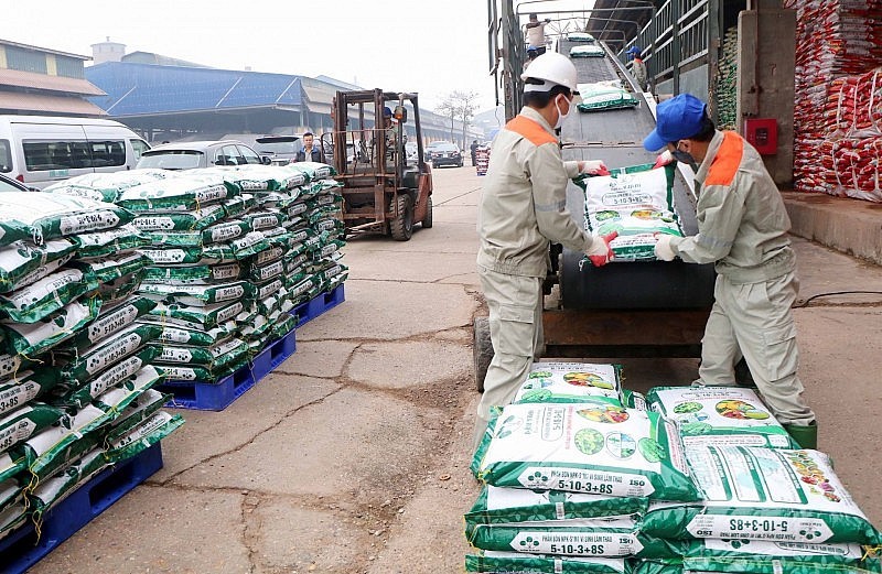 Việc giảm thuế xuất khẩu về 0% được kỳ vọng tạo thêm dư địa về giá cho doanh nghiệp khi tiếp cận thị trường nước ngoài. (Ảnh minh hoạ)