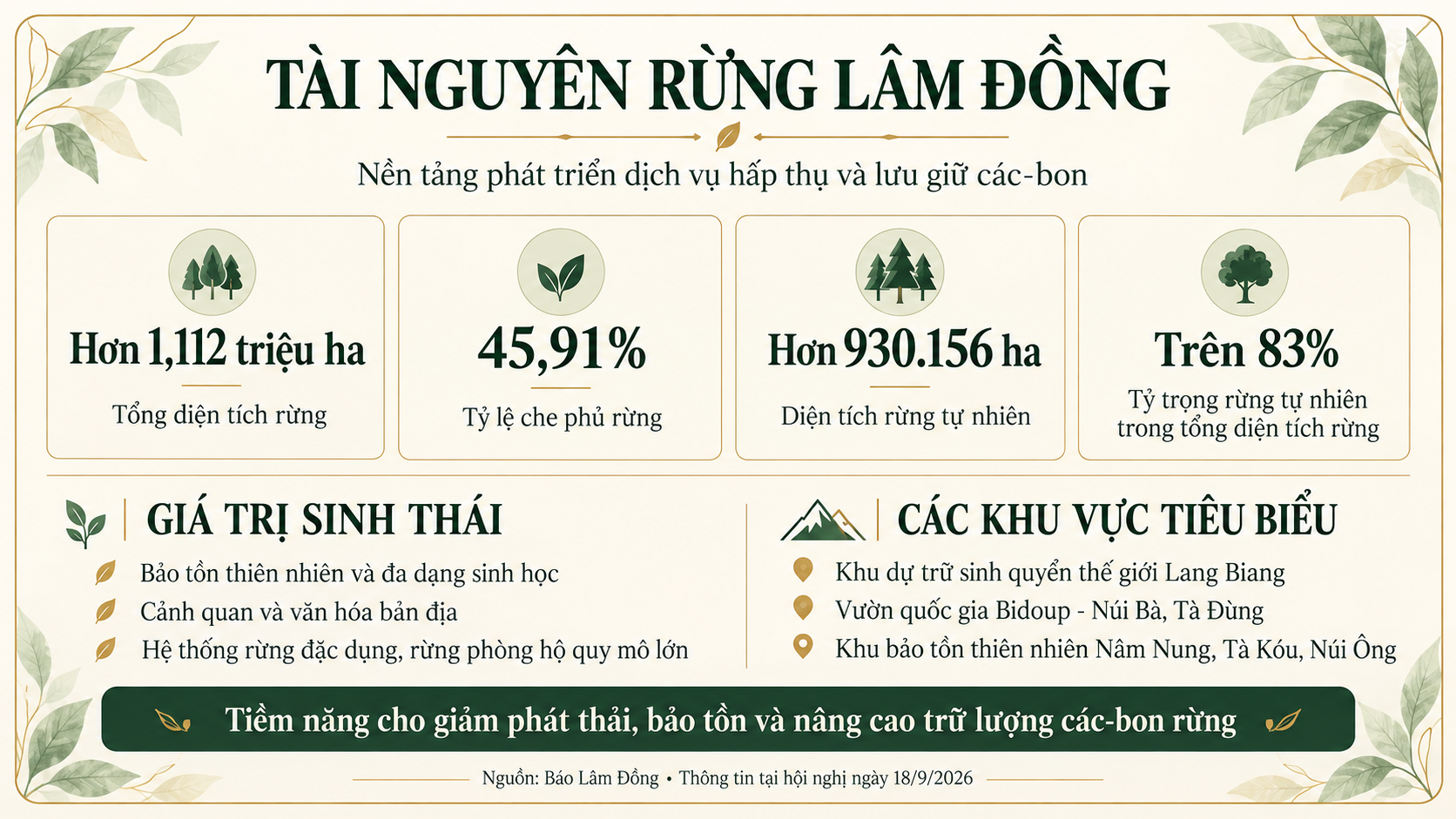 rung-lam-dong-nen-tang-cac-bon-1791613650.png