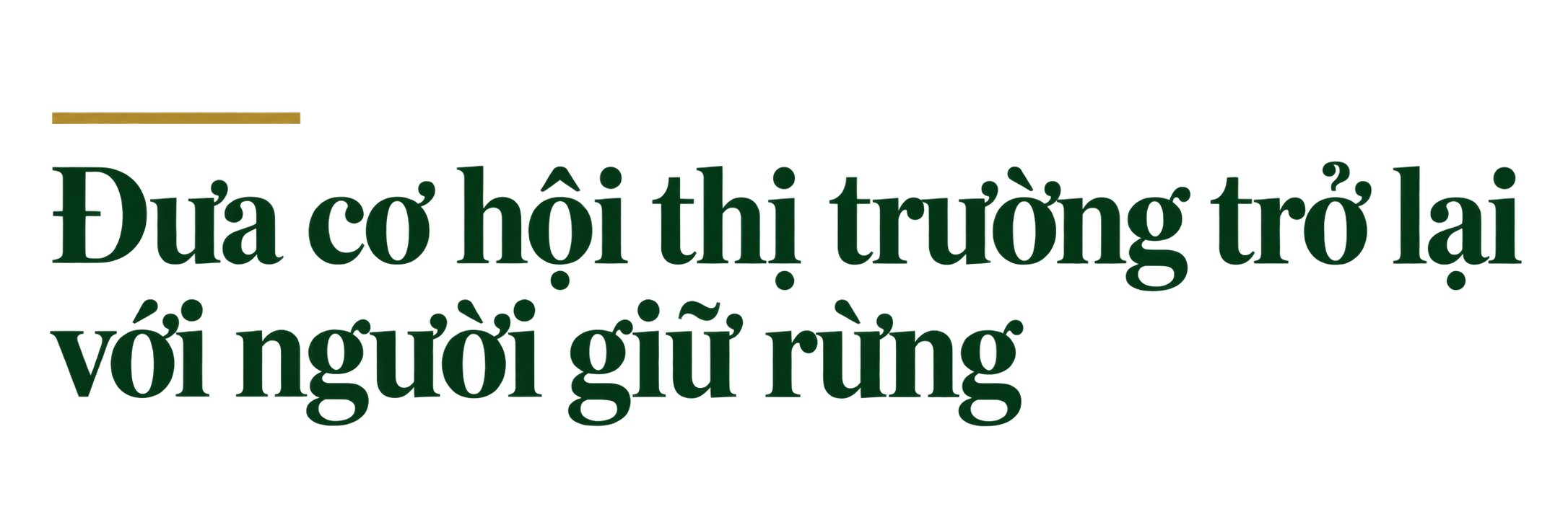 thi-truong-tro-lai-nguoi-giu-rung-1791613757.png