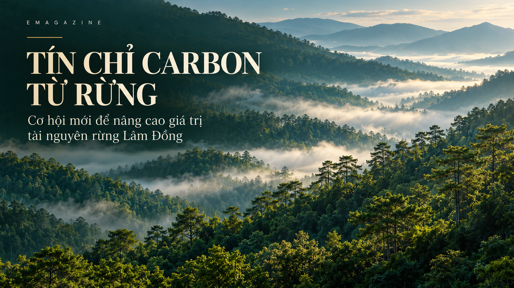 [Emagazine] Tín chỉ carbon từ rừng – Cơ hội mới để nâng cao giá trị tài nguyên rừng Lâm Đồng