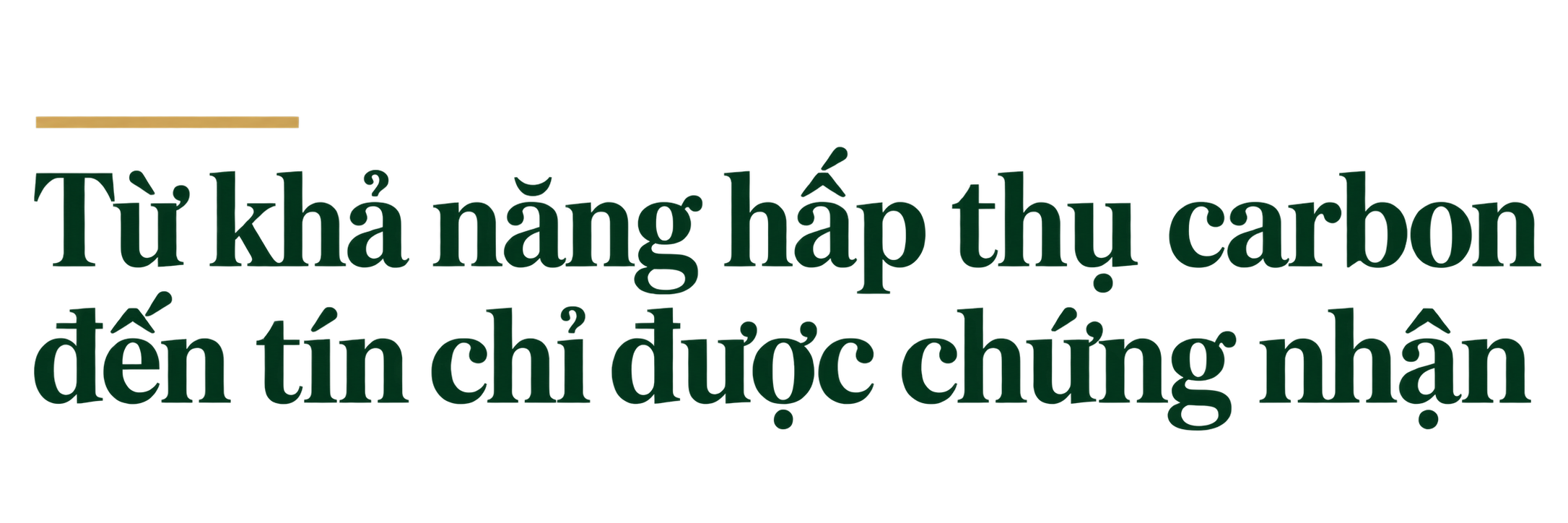 tu-carbon-den-tin-chi-1791613728.png